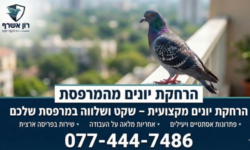 הרחקת יונים מהמרפסת