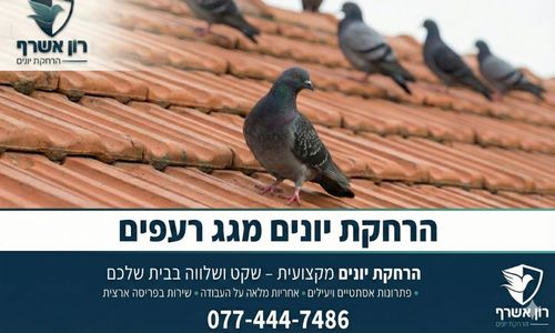 הרחקת יונים מגג רעפים