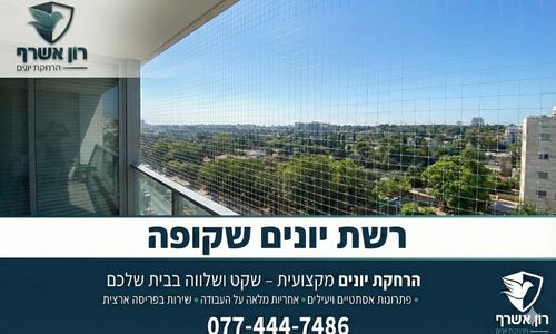 רשת יונים שקופה