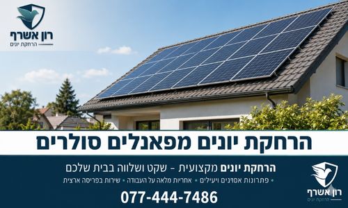 הרחקת יונים מפאנלים סולרים