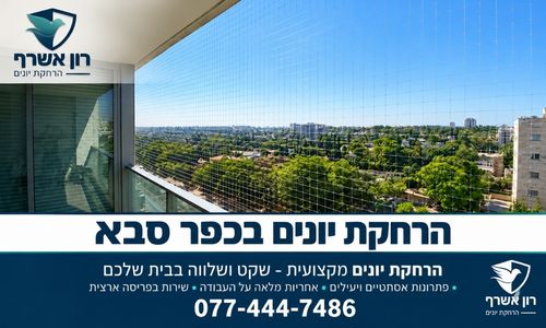הרחקת יונים בכפר סבא רון יונים
