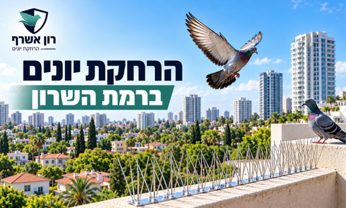 הרחקת יונים ברמת השרון