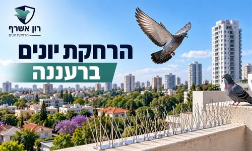הרחקת יונים ברעננה